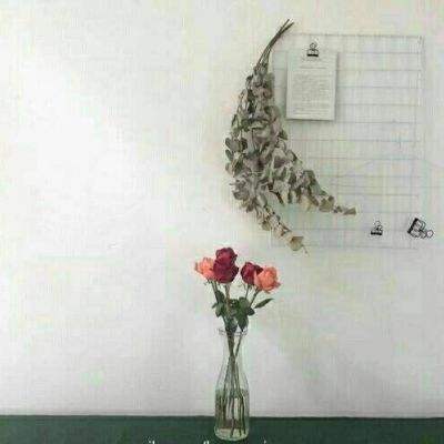 我的画世界游戏下载